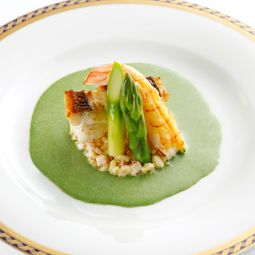 鱸とラングスティーヌのソテーに麦のクリーム煮を添えて グリーンマリニエールソース