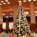 ☆ロビーにクリスマスツリーが登場！