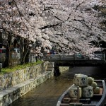 桜シーズン到来！会場見学のコツ