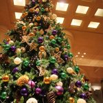 クリスマスツリー登場★写真映えするロビーでの前撮りのコツ