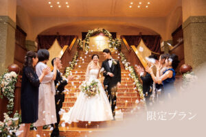 限定プラン 一覧
